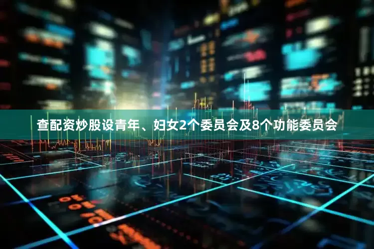 查配资炒股设青年、妇女2个委员会及8个功能委员会