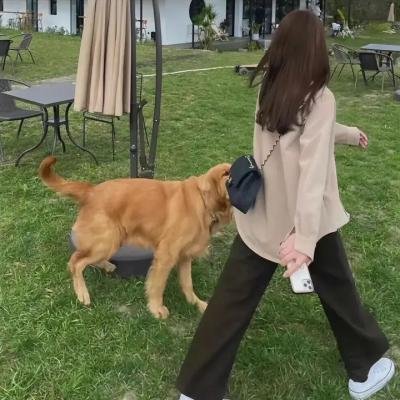玛丽和马克思 剧照