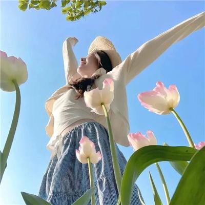 我靠鉴宝旺全家